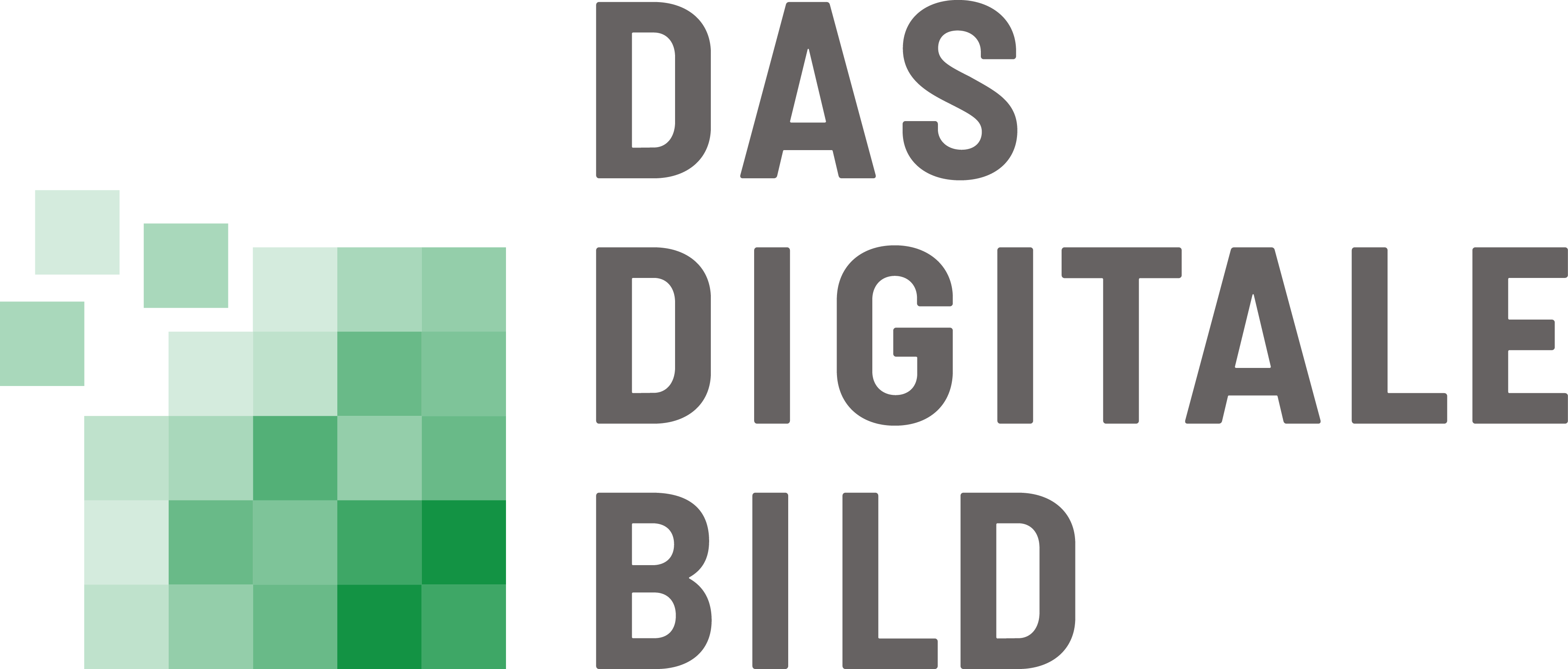 DFG Schwerpunktprogramm – Das Digitale Bild 